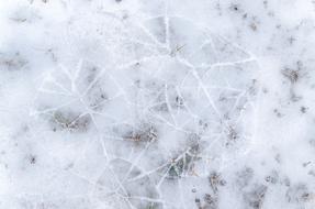 Beautiful patterns on the shiny ice, in the cold winter