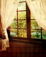 home window