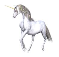 horse unicorn fantasy