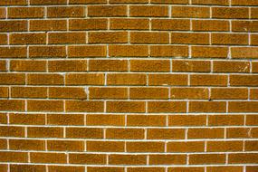 brown brick wall close up