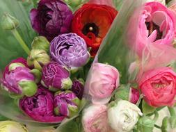 flowers in gorgeous bouquets