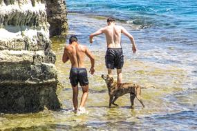Summertime Boys Dog water