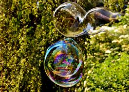 bubbles in the grass