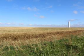 grass with a white lighthouse in the distance