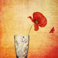 painted red poppy in a vase