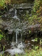 waterfall with rocks in the trees