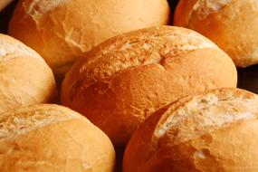 crispy fresh buns