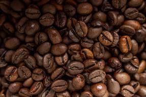 roasted aromatic grains
