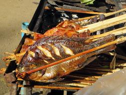 fried fish on the fire