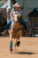 a man riding a horse