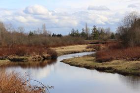 heath grass river