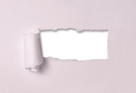 Ripped Paper Torn pink white