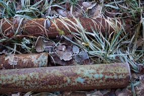 iron pipes rusty grass