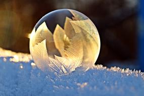 bubble in the leaves light