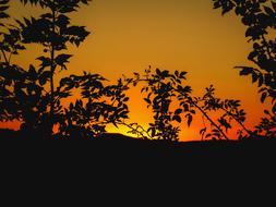 orange Sunset over Mountain