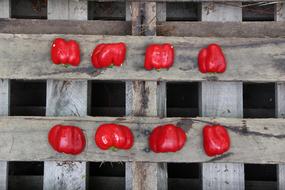 red vegetable on a wooden platform