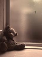 Teddy Bear Window