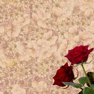 background scrapbooking paper two flowers