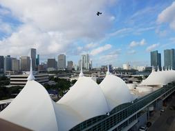 Cityscape of Bird on Sky and architecture