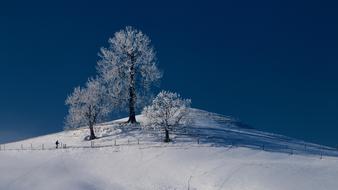 snow white landscape