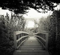 Bridge and lake Black And White