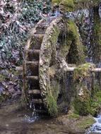 grassy water wheel