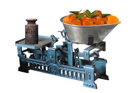 tangerines on the scale