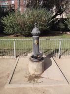 Fountain Water Dispenser