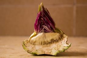 piece of artichoke