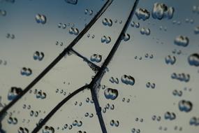 Glass Rain Drops