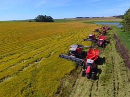 Crop Rice Tractor Harvester Massey