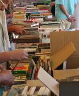 Flea Market Bookseller