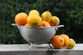 Citrus Oranges Lemons Organic