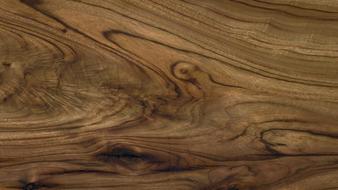 Close-up of the colorful and beautiful wood texture, with the patterns