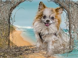 clipart of alicia dog chiuhuahua
