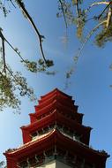 Chinese garden in Singapore