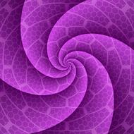purple spiral with patterns