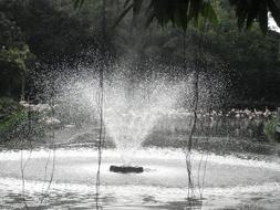 Fountain Spray