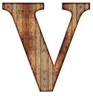wooden letter v on white