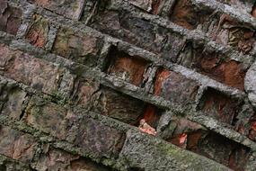 Wall Structure Brick old