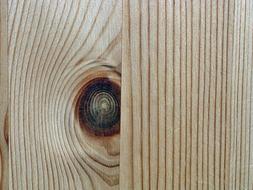 Close-up of the colorful and beautiful pine wood texture, with the lines