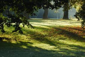 Park Autumn