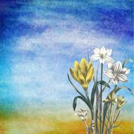 flowers drawing background scrapbooking paper