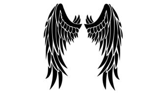 black angel wings on white background