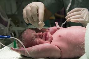 new Baby Birth