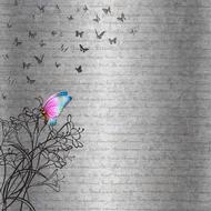 gray background paper with colorful butterfly