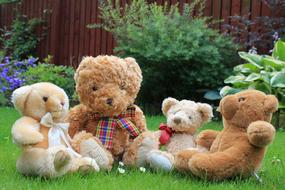 Teddy Bear Soft Toy in garden