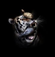 Tiger turtle surreal
