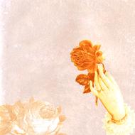 vintage background, female hand holding flower drawing