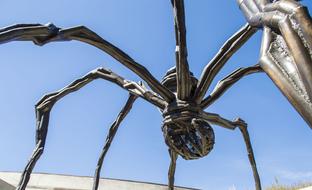 Metal Sculpture Spider